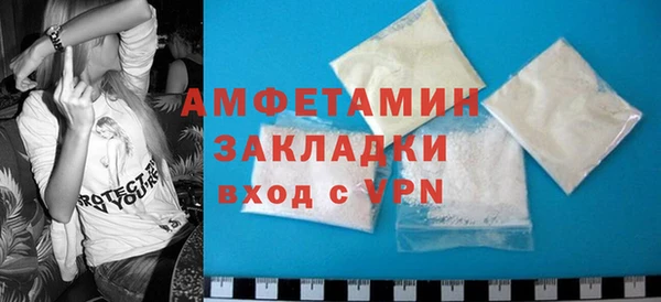 индика Нея