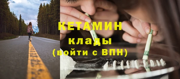 индика Нея