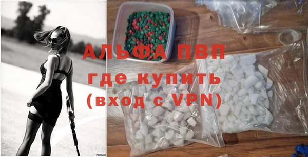 индика Нея