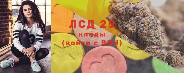 индика Нея