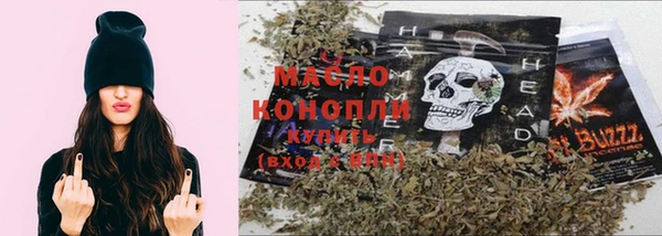 индика Нея