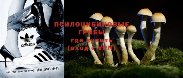 индика Нея