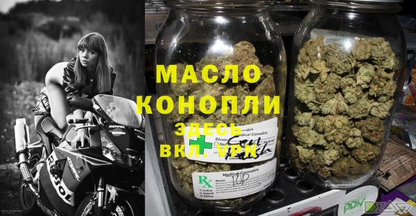 гидра Надым