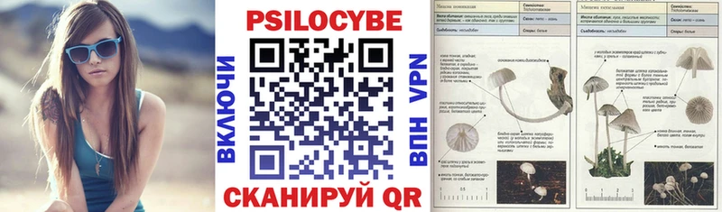 Псилоцибиновые грибы Psilocybe  купить   Камбарка 